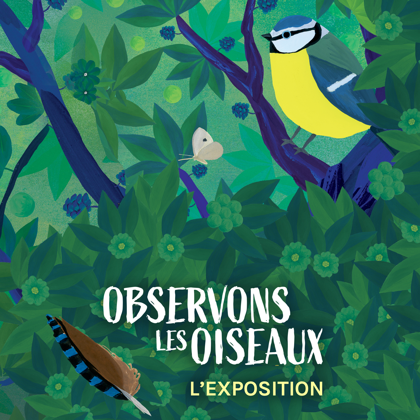 Observons les oiseaux st erblon